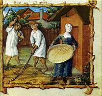 Battage du ble, femme vannant